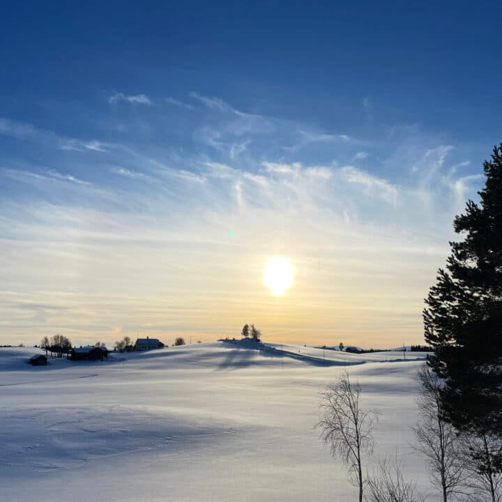 Snöiga ängar i motljus